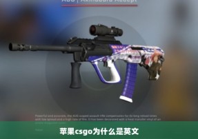 苹果csgo为什么是英文