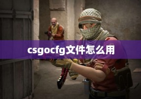 csgocfg文件怎么用