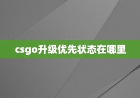 csgo升级优先状态在哪里