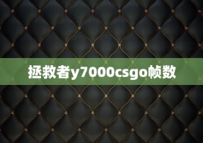 拯救者y7000csgo帧数