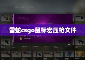 雷蛇csgo鼠标宏压枪文件