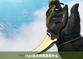 csgo最贵的武器是什么