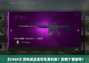 《CSGO》买枪皮还是印花更划算？买哪个更值得？