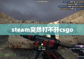 steam突然打不开csgo