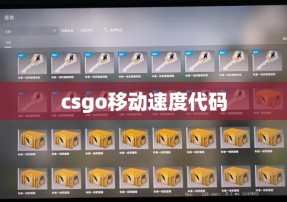 csgo移动速度代码