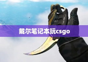 戴尔笔记本玩csgo