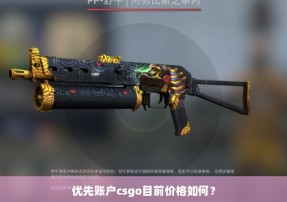 优先账户csgo目前价格如何？