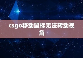 csgo移动鼠标无法转动视角