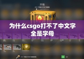 为什么csgo打不了中文字全是字母