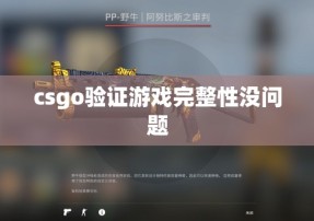 csgo验证游戏完整性没问题