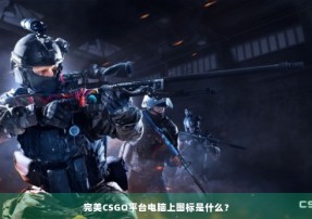 完美CSGO平台电脑上图标是什么？