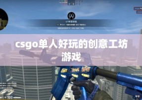 csgo单人好玩的创意工坊游戏