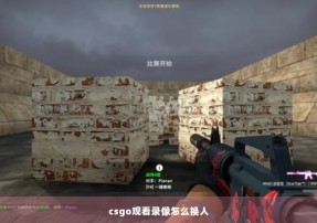 csgo观看录像怎么换人