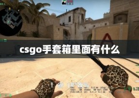 csgo手套箱里面有什么