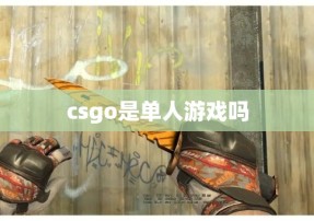 csgo是单人游戏吗