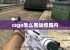 csgo怎么看战绩局内