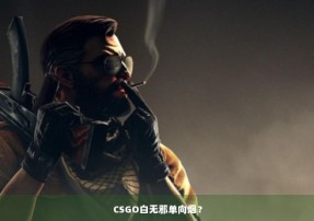 CSGO白无邪单向烟？