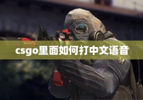 csgo里面如何打中文语音