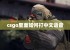 csgo里面如何打中文语音