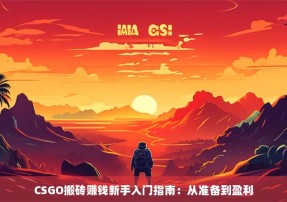 CSGO搬砖赚钱新手入门指南：从准备到盈利