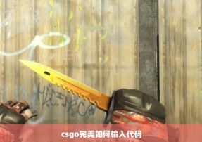 csgo完美如何输入代码