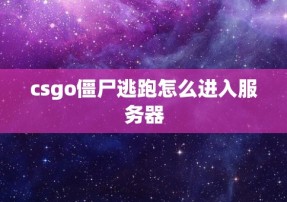 csgo僵尸逃跑怎么进入服务器