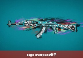 csgo overpass兔子