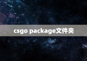 csgo package文件夹