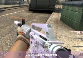 csgo存入库存存储组件快捷