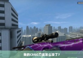 我的CSGO刀皮怎么没了？