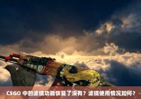 CSGO 中的滤镜功能恢复了没有？滤镜使用情况如何？