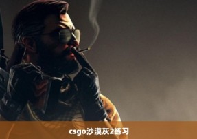 csgo沙漠灰2练习