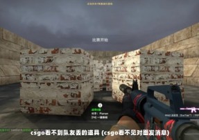 csgo看不到队友丢的道具 (csgo看不见对面发消息)