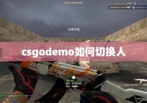 csgodemo如何切换人