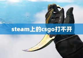 steam上的csgo打不开