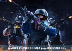 csgo完美正常一天能升到什么等级 (csgo完美段位等级划分)