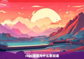 csgo国服为什么要加速