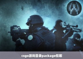 csgo游戏目录package在哪