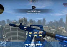 csgo清除人机指令