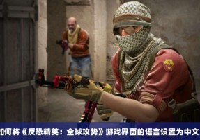 如何将《反恐精英：全球攻势》游戏界面的语言设置为中文？