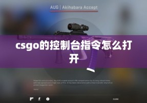 csgo的控制台指令怎么打开