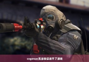 csgovac无法验证进不了游戏