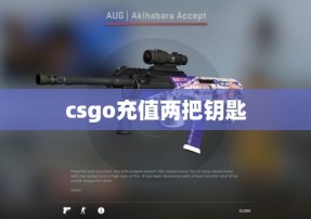 csgo充值两把钥匙