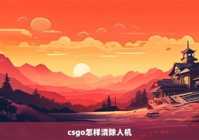 csgo怎样清除人机