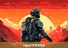 csgo打不开为什么