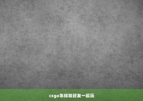 csgo怎样加好友一起玩