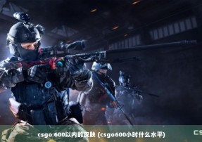 csgo 600以内的皮肤 (csgo600小时什么水平)