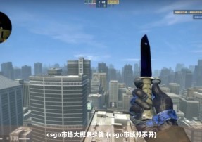 csgo市场大概多少钱 (csgo市场打不开)