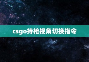 csgo持枪视角切换指令