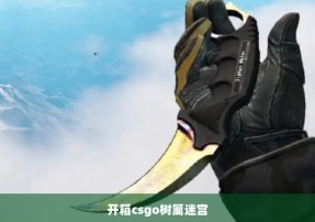 开箱csgo树篱迷宫